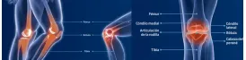 Órtesis para RODILLAS y PIERNAS