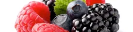 Antioxidantes · Oligoelementos